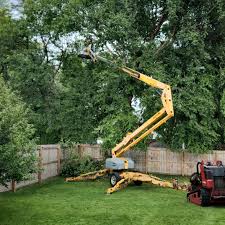 Best Lawn Pest Prevention  in Okolona, MS