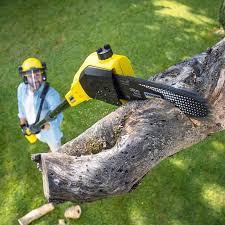 Best Seasonal Cleanup (Spring/Fall)  in Okolona, MS